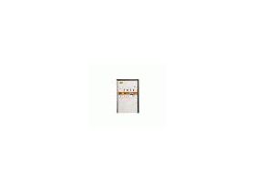 Amplifier Research 1000A100